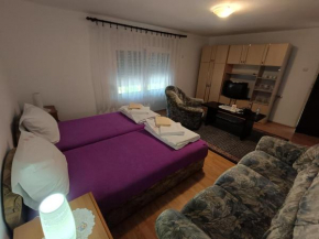 Studio Petrović, Soko Banja